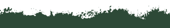 Top border